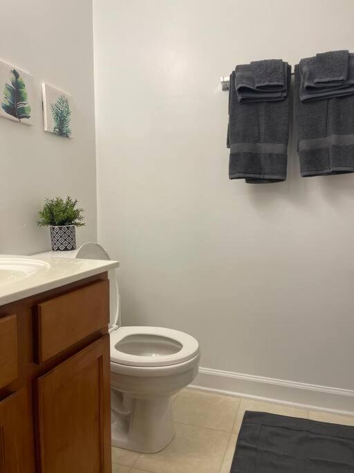 Appartement Simple Elegant Townhouse Dt Raleigh Ncsu Extérieur photo